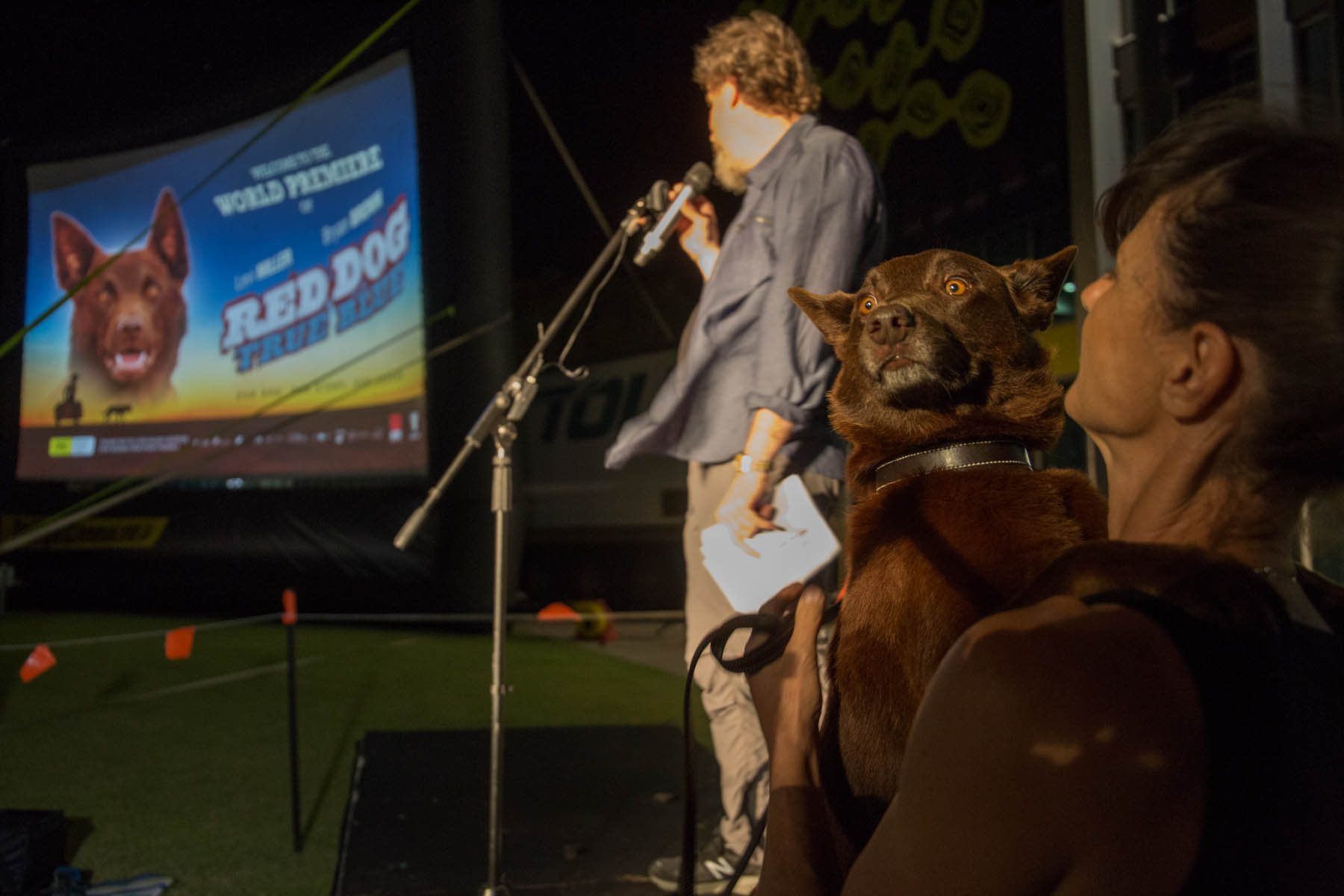 Red Dog: True Blue World Premier 2016